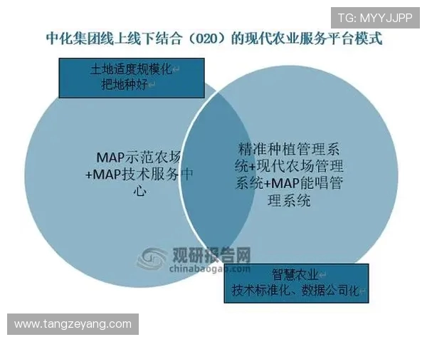 网球运动发展历程与技术创新的深度分析及未来趋势探讨