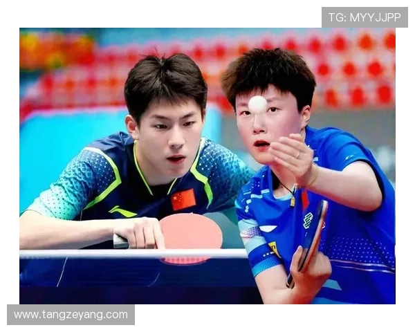 全国锦标赛特别报道：杭州乒乓球队逆袭之路展现拼搏精神与团队力量