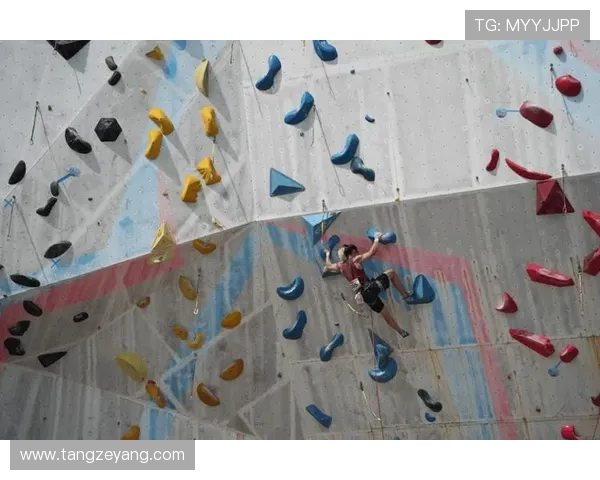 北京攀岩队在世界攀岩锦标赛中的默契配合与精彩表现分析