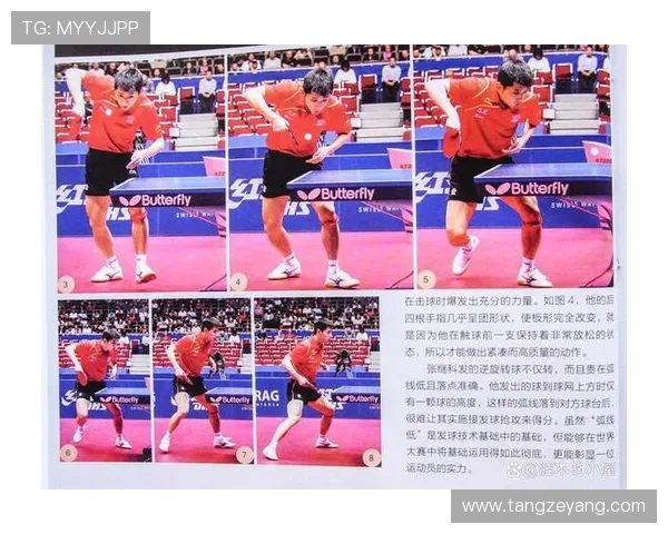 乒乓球技巧与战术解析:从基础到进阶全面提升你的比赛水平